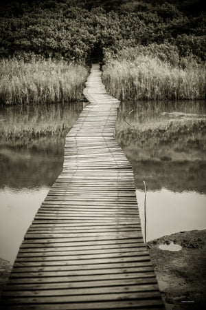 Umhlanga Walkway