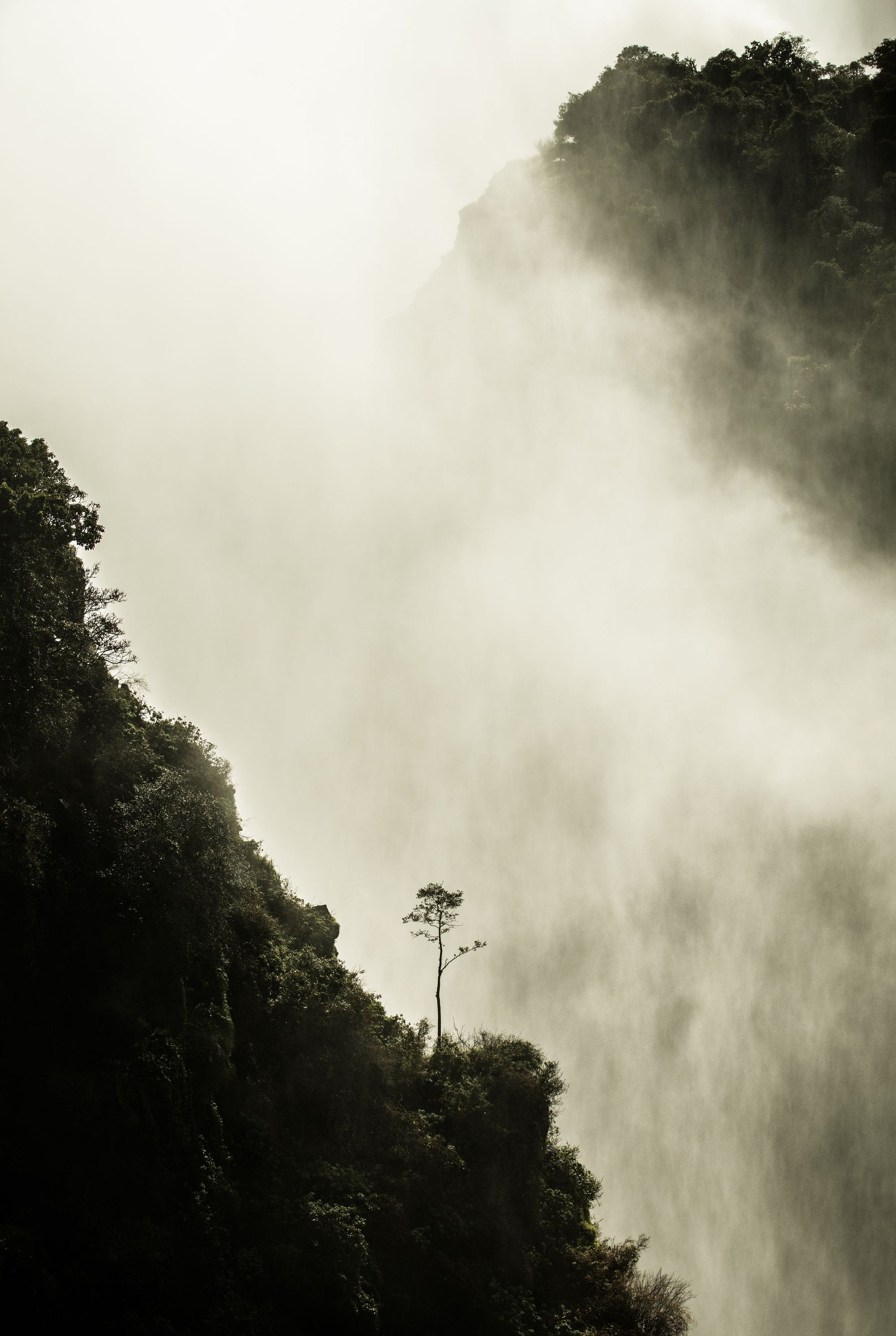 Lone Tree One, Victoria Falls